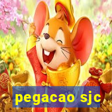 pegacao sjc